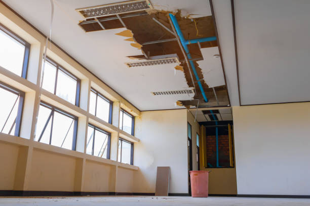Best Residential water damage restoration  in Lamesa, TX