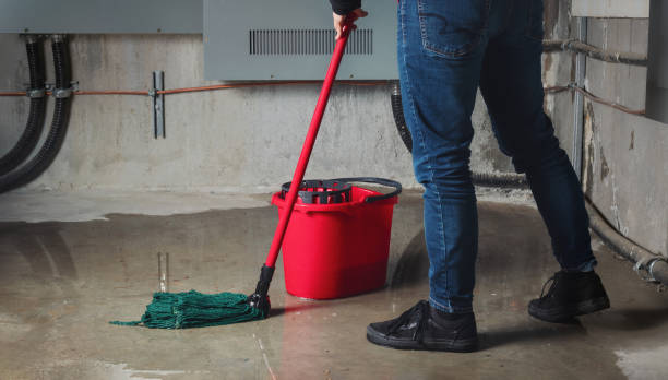 Best Carpet water damage restoration  in Lamesa, TX
