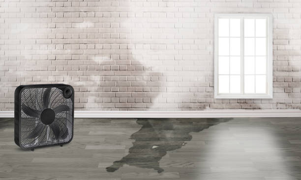 Fire Damage Restoration in Lamesa, TX