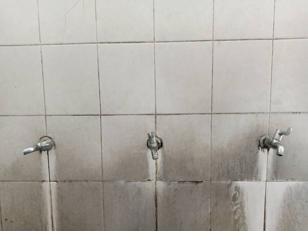 Best Basement water damage restoration  in Lamesa, TX