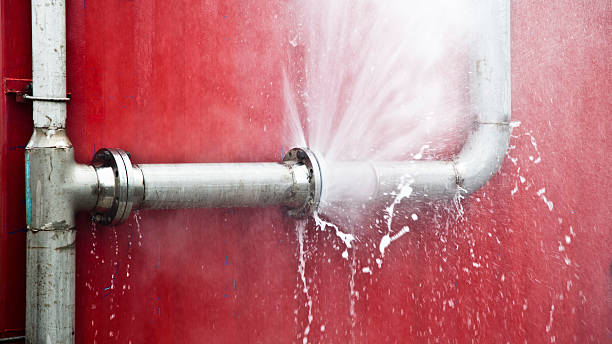 Best Water damage cleanup near me  in Lamesa, TX